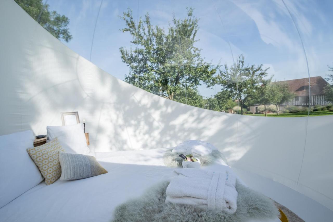 Maison d'hôtes - Domaine Le Coq Enchanté