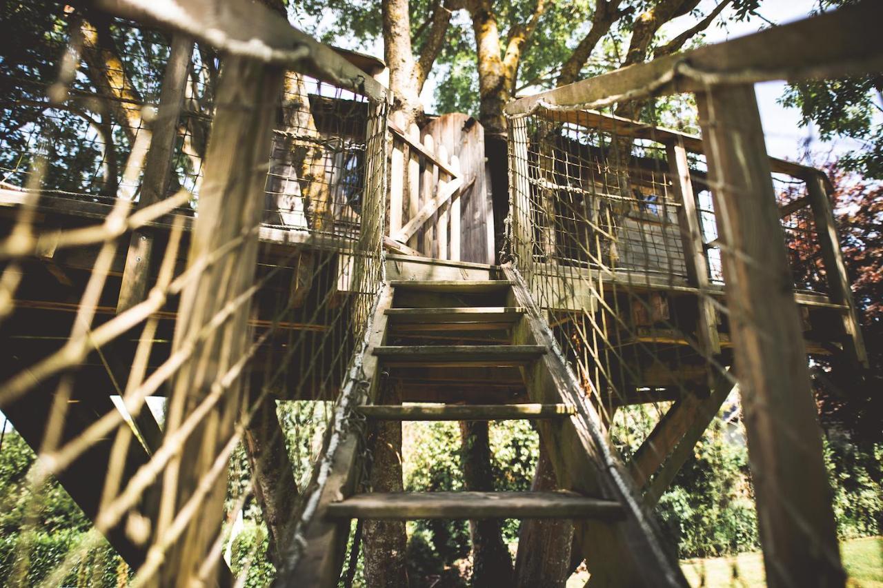 Maison d'hôtes - Domaine Le Coq Enchanté